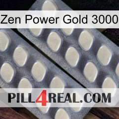 Zen Power Gold 3000 07